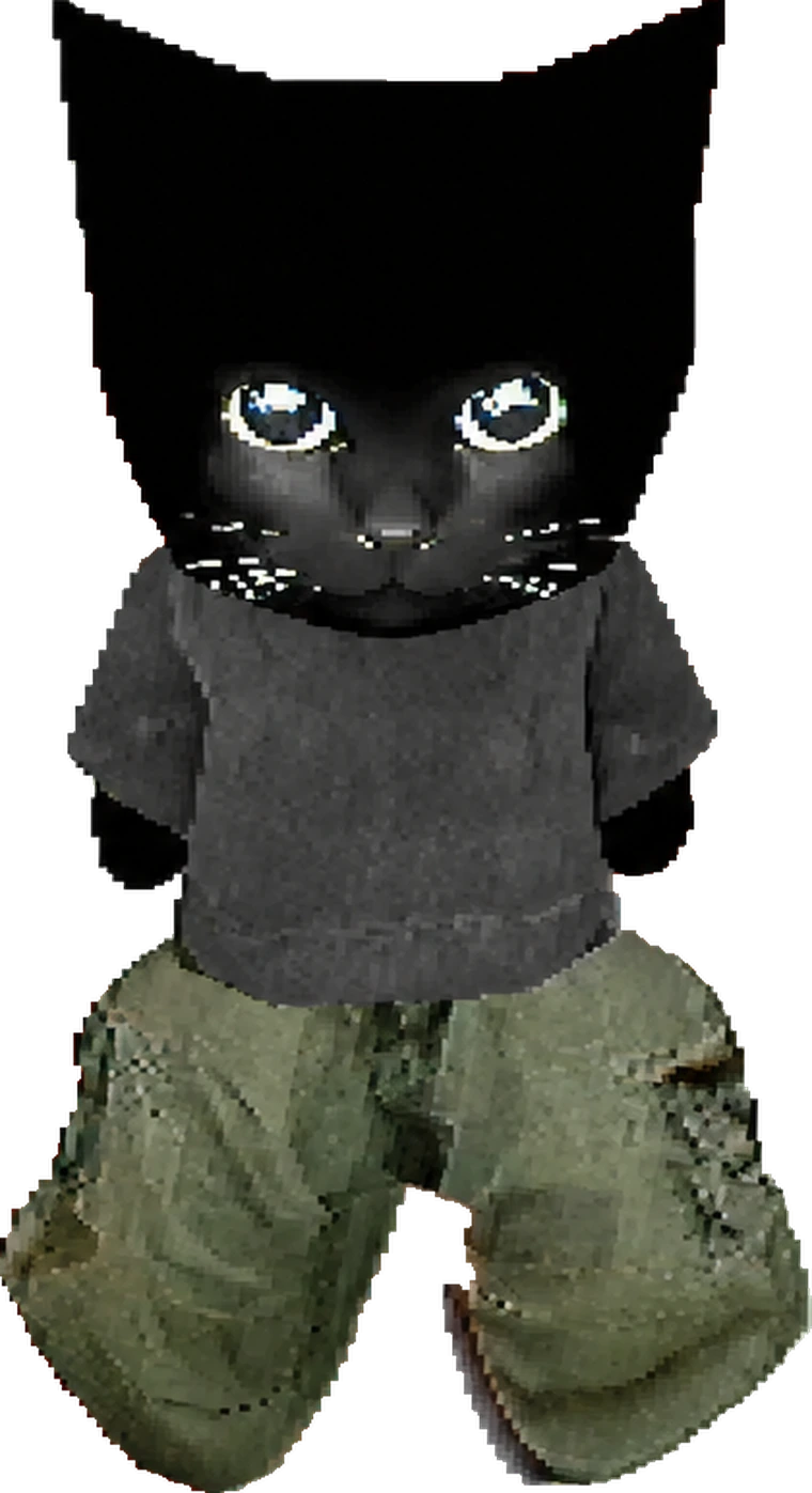 2004 Cat in a grey tee and cargo pants